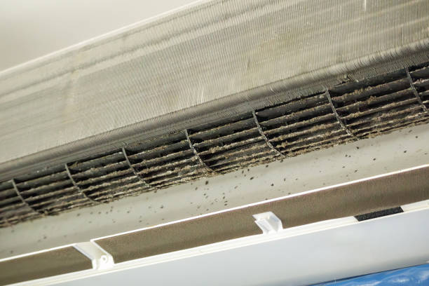 Best Emergency Air Duct Cleaning  in Port Jefferson, NY
